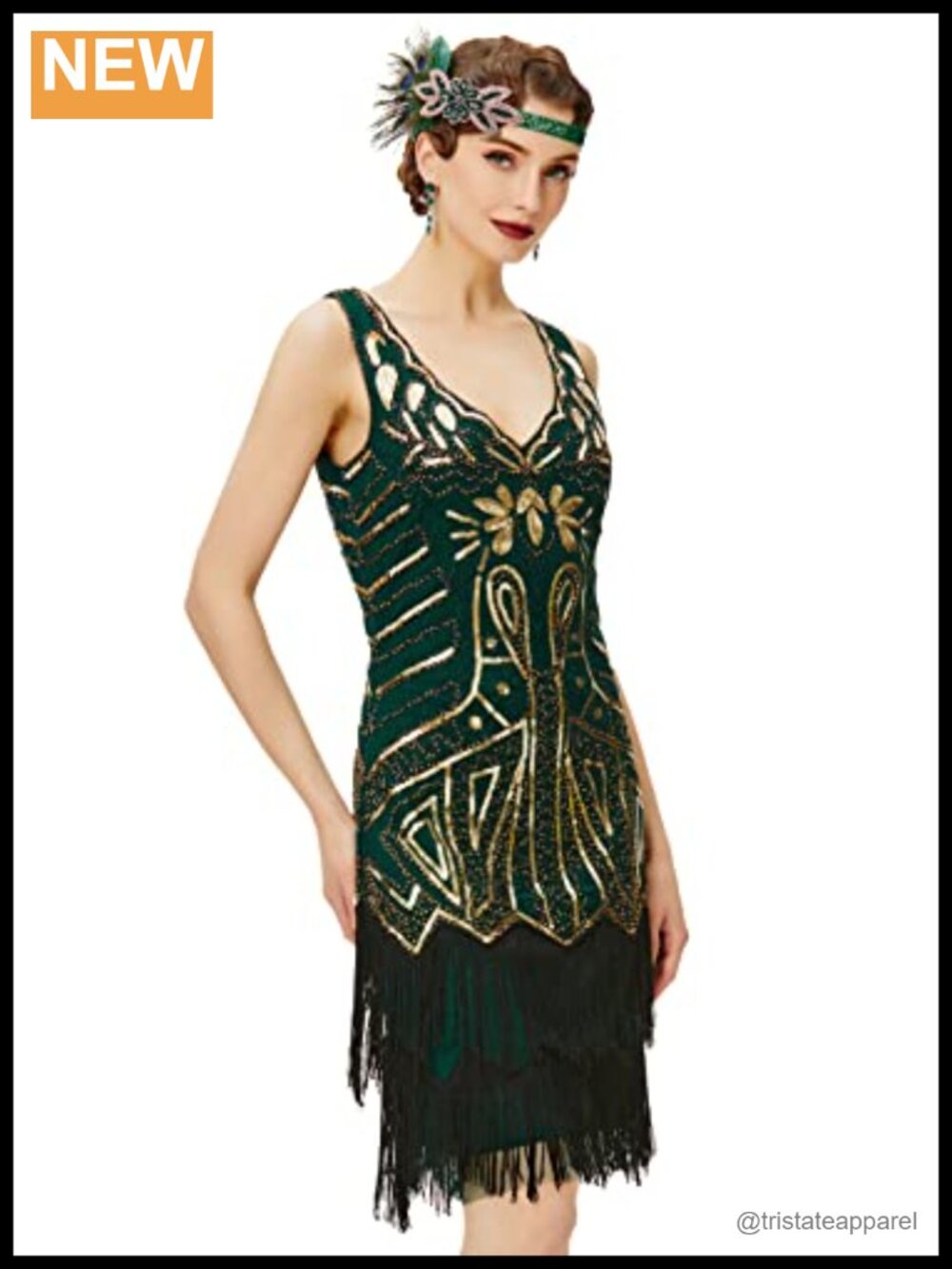 V Neck Beaded Fringe Sequin Flapper Dress Gatsby Costume